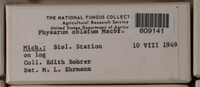 Image Associated With the Occurence